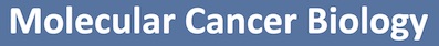 Molecular Cancer Biology